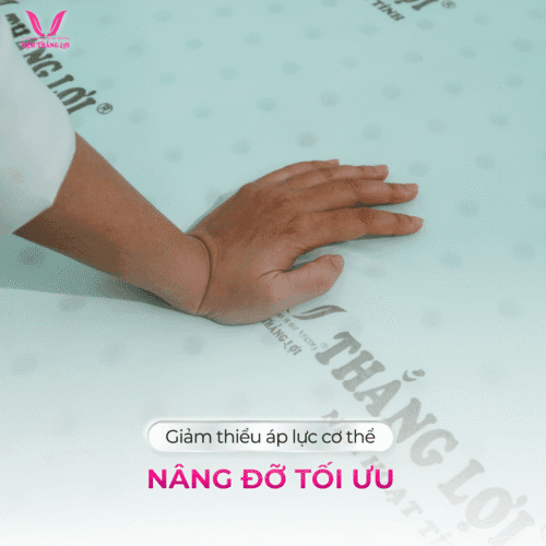 nemthangloichinhhang.vn cao su hoat tinh hut am khu mui