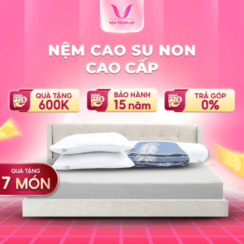 NỆM CAO SU NON CAO CẤP THẮNG LỢI