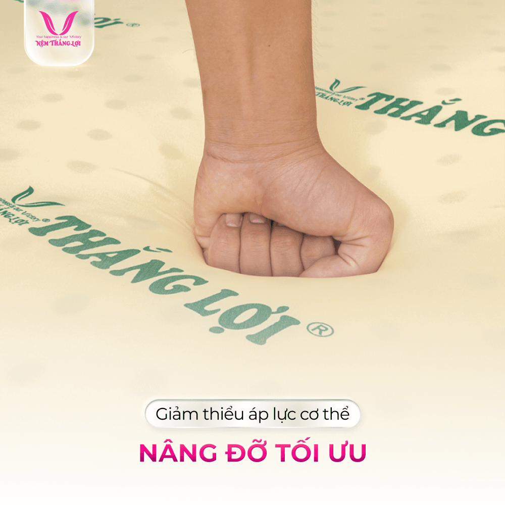 nemthangloichinhhang.vn cao su non nang do toi uu