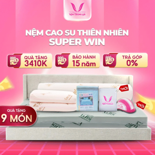 NỆM CAO SU THIÊN NHIÊN SUPER WIN THẮNG LỢI