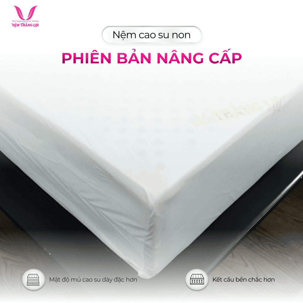 NỆM CAO SU NON CAO CẤP THẮNG LỢI - Ảnh 6