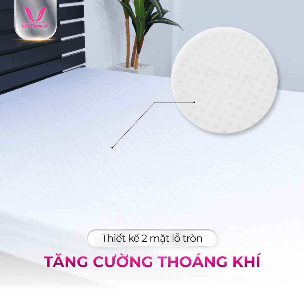 NỆM CAO SU NON CAO CẤP THẮNG LỢI - Ảnh 3