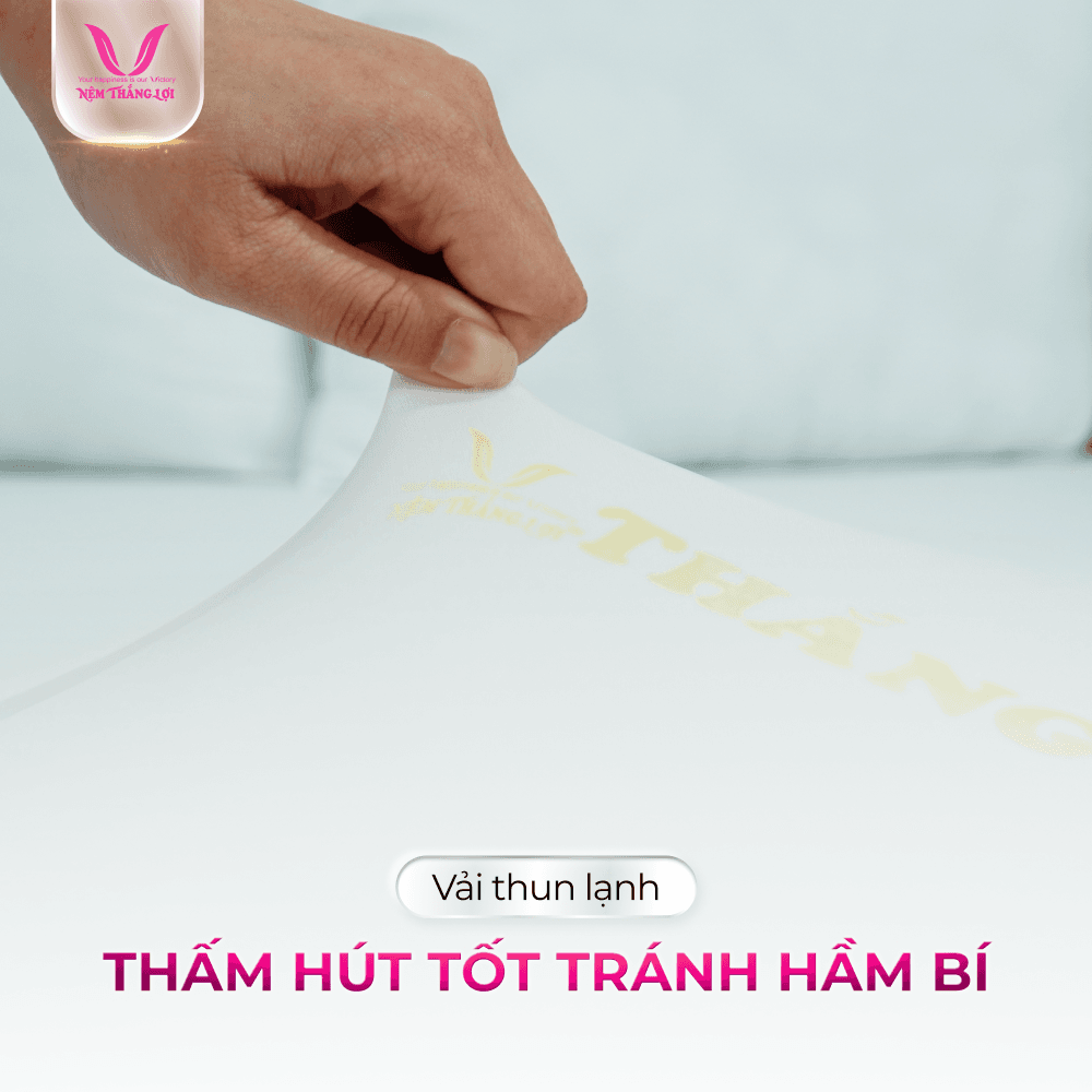 nemthangloichinhhang.vn csn cao cap thun