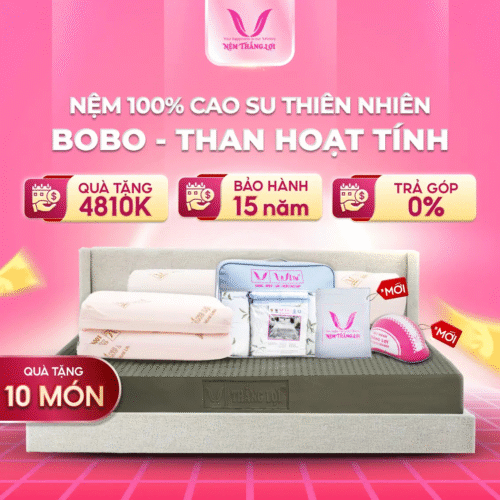 NỆM 100% CAO SU THIÊN NHIÊN THẮNG LỢI BOBO – THAN HOẠT TÍNH