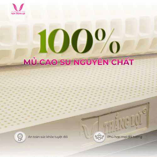 Alternative view of NỆM 100% CAO SU THIÊN NHIÊN THẮNG LỢI SISI – ADVANCED