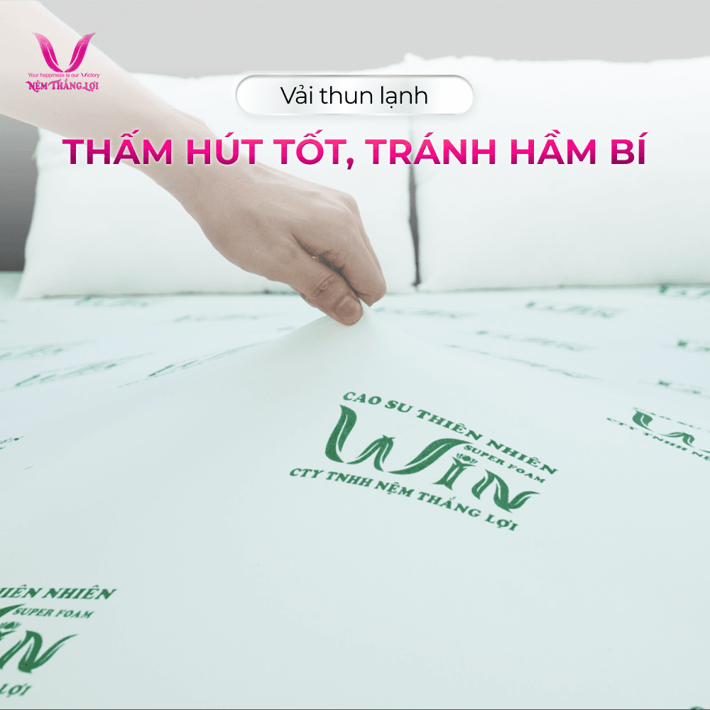 NỆM CAO SU THIÊN NHIÊN SUPER WIN THẮNG LỢI - Ảnh 4
