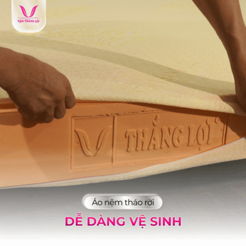 nemthangloichinhhang.vn cstn susu original ao nem vai gam