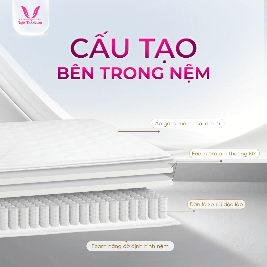 NỆM LÒ XO TÚI ĐỘC LẬP THẮNG LỢI DANISA ROYAL - Ảnh 6