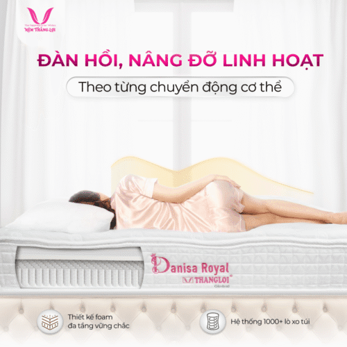 nemthangloichinhhang.vn danisa royal em ai