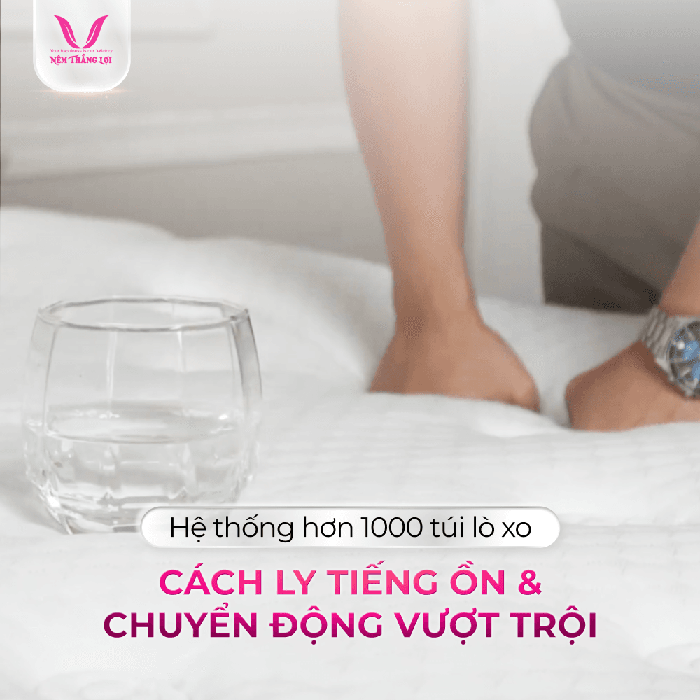 NỆM LÒ XO TÚI ĐỘC LẬP THẮNG LỢI DANISA ROYAL - Ảnh 3