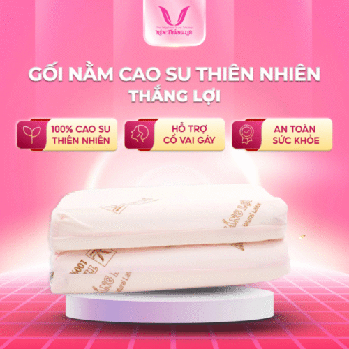 GỐI NẰM LƯỢNG SÓNG CAO SU THIÊN NHIÊN THẮNG LỢI