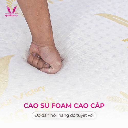 nemthangloichinhhang.vn goled latex cao cap dan hoi