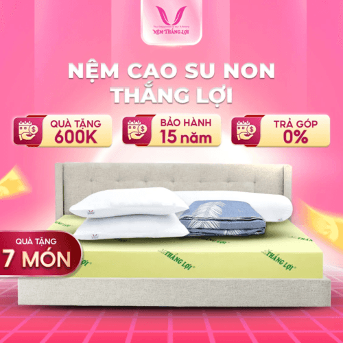 NỆM CAO SU NON THẮNG LỢI