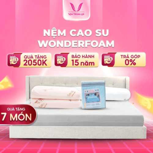 NỆM CAO SU WONDERFOAM THẮNG LỢI