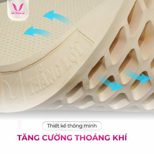 nemthangloichinhhang.vn thiet ke lo thoang khi 2 mat