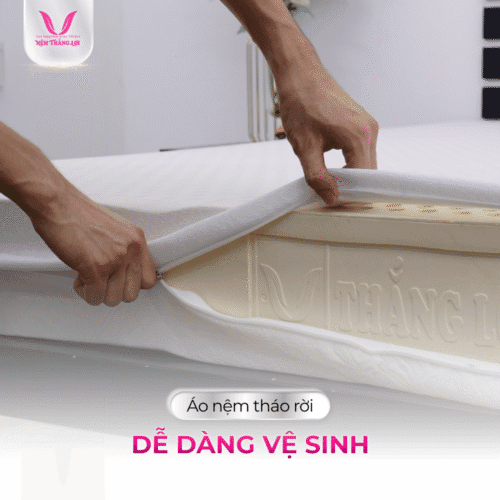 nemthangloichinhhang.vn titti double function ao nem cao cap